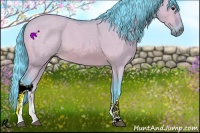 Horse Color:Watercolor Bay Dun 