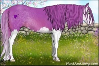 Horse Color:Watercolor Chestnut Splash 