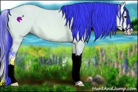Horse Color:Watercolor Bay Roan Dun Splash 