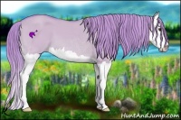 Horse Color:Watercolor Red Dun Splash