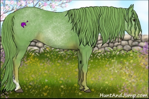 Horse Color:Watercolor Chestnut