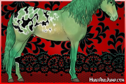 Horse Color:Watercolor Bay Appaloosa 