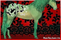 Horse Color:Watercolor Bay Appaloosa