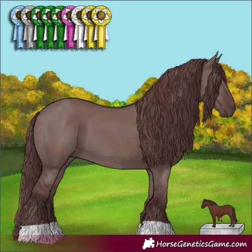 Horse Color:Chocolate Grullo 