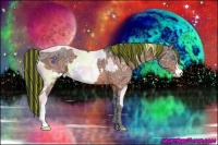 Horse Color:Painted Nacre White Spotted Gold Cream Champagne Ice Pearl and Bay Ice