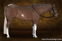 Horse Color:Silver Brown Tobiano Frame Rabicano and Silver Brown Sabino Tobiano Rabicano