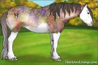 Horse Color:Nacre Bay Ice Onyx Splash