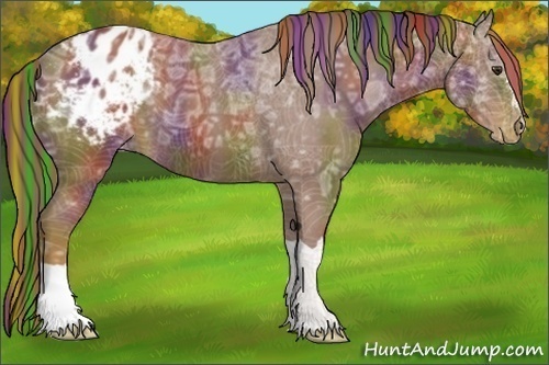 Horse Color:Painted Nacre Chestnut Ice Appaloosa 