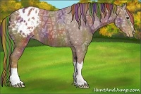 Horse Color:Painted Nacre Chestnut Ice Appaloosa 