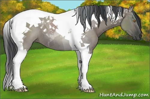 Horse Color:Grullo Tobiano 