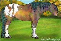 Horse Color:Painted Nacre Brown Appaloosa 