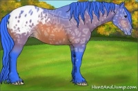Horse Color:Watercolor Bay Ice Appaloosa 