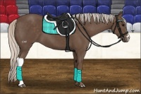 Horse Color:Silver Black 