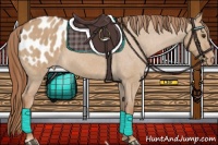 Horse Color:Red Dun Appaloosa