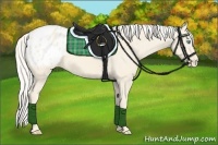 Horse Color:Cremello Appaloosa