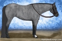 Horse Color:Blue Roan 