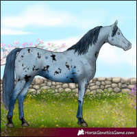 Horse Color:ERROR: UNKNOWN ANOMALY