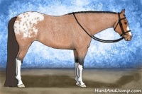 Horse Color:Bay Roan Varnish 