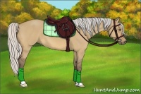 Horse Color:Silver Buckskin Dun 