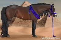Horse Color:Brown Frame 