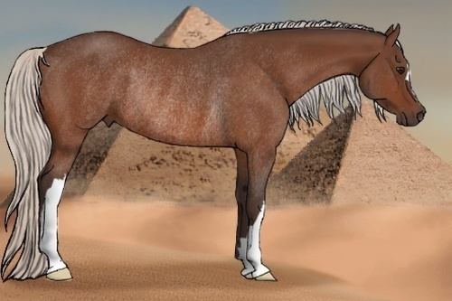Horse Color:Silver Bay Rabicano