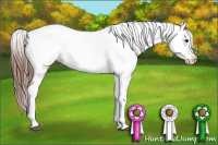 Horse Color:Black Splash Appaloosa 