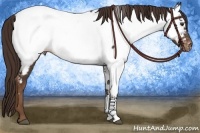 Horse Color:Liver Chestnut Near Fewspot