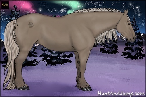 Horse Color:Silver Grullo