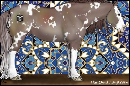 Horse Color:White Spotted Chocolate Grullo Splash 