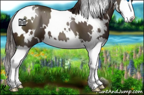 Horse Color:White Spotted Liver Chestnut Splash 
