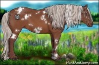 Horse Color:White Spotted Chocolate Silver Brown