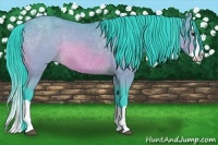 Horse Color:Watercolor Bay Splash
