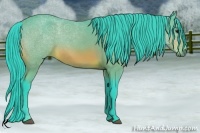Horse Color:Watercolor Bay 
