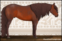 Horse Color:Chocolate Brown 