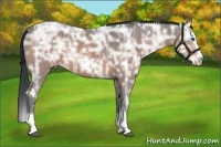 Horse Color:White Spotted Brown Ice Splash