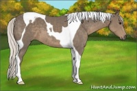Horse Color:Silver Smoky Black Tobiano
