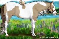 Horse Color:Classic Cream Champagne Splash Tobiano Rabicano