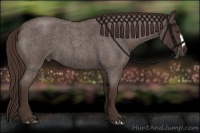 Horse Color:Liver Red Roan 