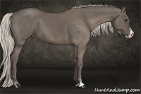 Horse Color:Silver Smoky Black Sabino and Silver Smoky Black Sabino