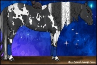 Horse Color:White Spotted Black