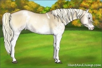 Horse Color:White Spotted Liver Red Dun Pearl Onyx 