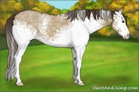 Horse Color:White Spotted Liver Red Dun Ice Splash 