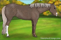 Horse Color:Silver Black 