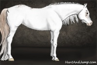 Horse Color:Liver Chestnut Sabino