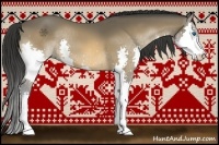 Horse Color:Buckskin Sabino Splash 