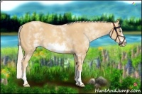 Horse Color:White Spotted Gold Cream Champagne Frame 