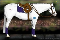 Horse Color:Smoky Black Sabino Splash 