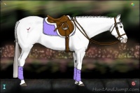 Horse Color:Liver Red Dun Sabino Varnish