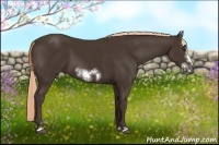 Horse Color:Liver Chestnut Sabino Frame 