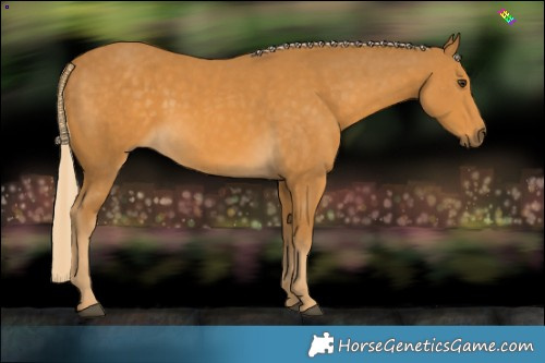 Horse Color:Palomino 